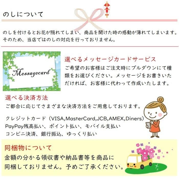 誕生日 プレゼント ハーバリウムボールペン 替え芯 送別の品 結婚式 受付 お祝い 送別の品 ギフト お返し お礼 プチギフト Herbarium Penkae フラワーショップ スマイルyoshiko 通販 Yahoo ショッピング