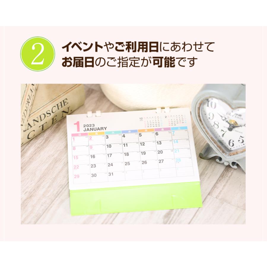 シクラメン 6号 花鉢 お歳暮 クリスマス プレゼント | ブランド登録なし | 11