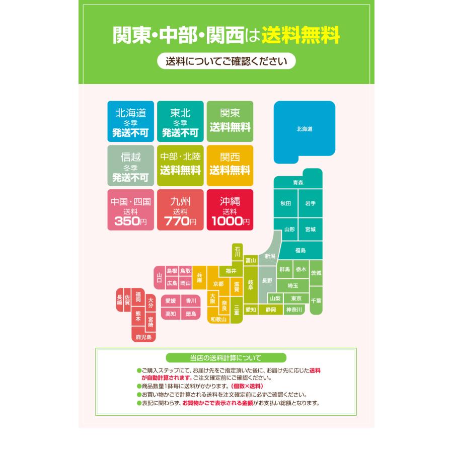 シクラメン 6号 花鉢 お歳暮 クリスマス プレゼント | ブランド登録なし | 15