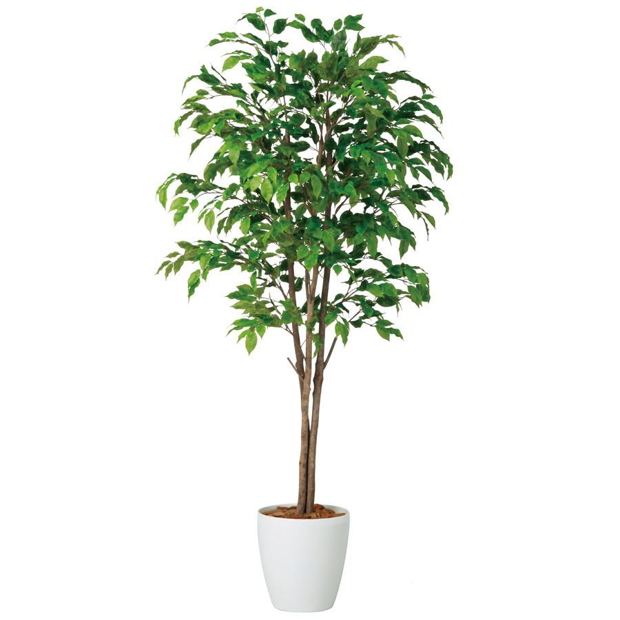 正規激安 人工観葉植物 ベンジャミナスプラッシュトリプル 150 器 Rp 265 フェイクグリーン イミテーション インテリア 開店祝 新築祝 オフィス 18ds 人気no 1 本体 Www Maxipiso Com Ar