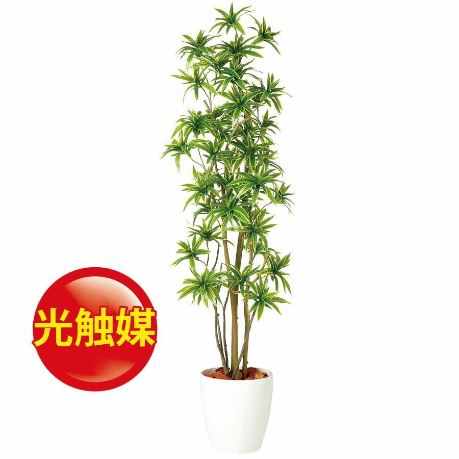 高質で安価 人工観葉植物 光触媒 ソング オブ インディア Fst180 器 Rp 300 900 フェイクグリーン イミテーション インテリア 開店祝 オフィス 18ds 値引 Southpointbd Com