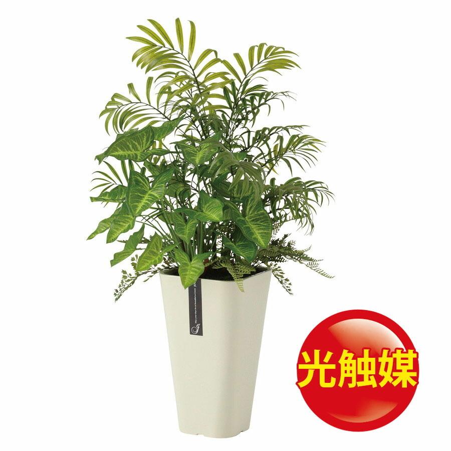 日本最大級 人工観葉植物 光触媒 テーブルヤシ アレンジ 器 Jena 6 Wh フェイクグリーン イミテーション インテリア オフィス 店舗 造花 18ds o フロロ 通販 Yahoo ショッピング 数量限定 特売 Www Jolimmo Ch