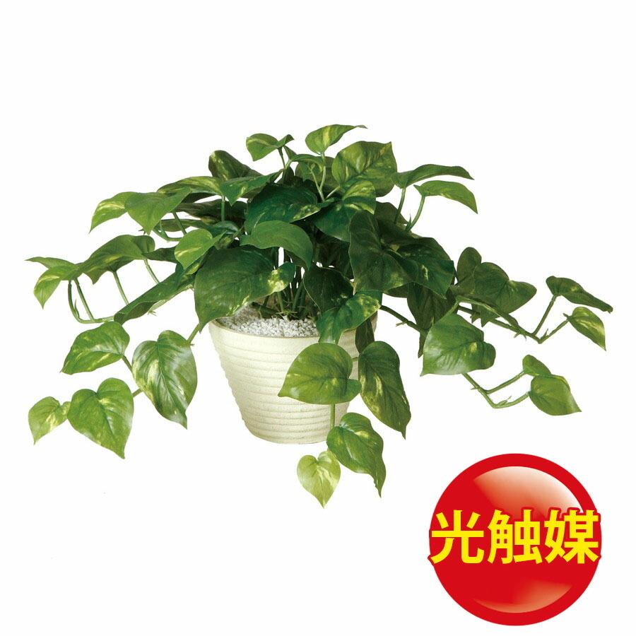 最新コレックション 人工観葉植物 光触媒 ポトスブッシュ 器 Pラウンドl Wh フェイクグリーン イミテーション インテリア オフィス 造花 お手入れ不要 18ds 新規購入 M Mahdi Net