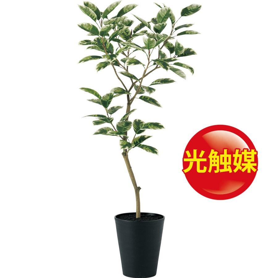 人工観葉植物 光触媒 デコラトリカラー FST150（器: SA-10(BK)）91606｜フェイクグリーン イミテーション インテリア 開店祝 新築祝 造花《2018ds》
