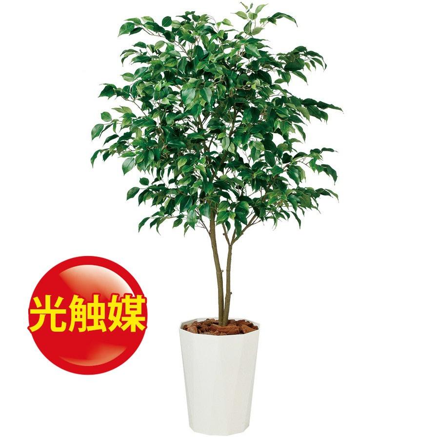 残りわずか 人工観葉植物 光触媒 ベンジャミン ワイド Fst150 器 クォーツ300 フェイクグリーン イミテーション インテリア 開店祝 オフィス 18ds 即納特典付き Technet 21 Org
