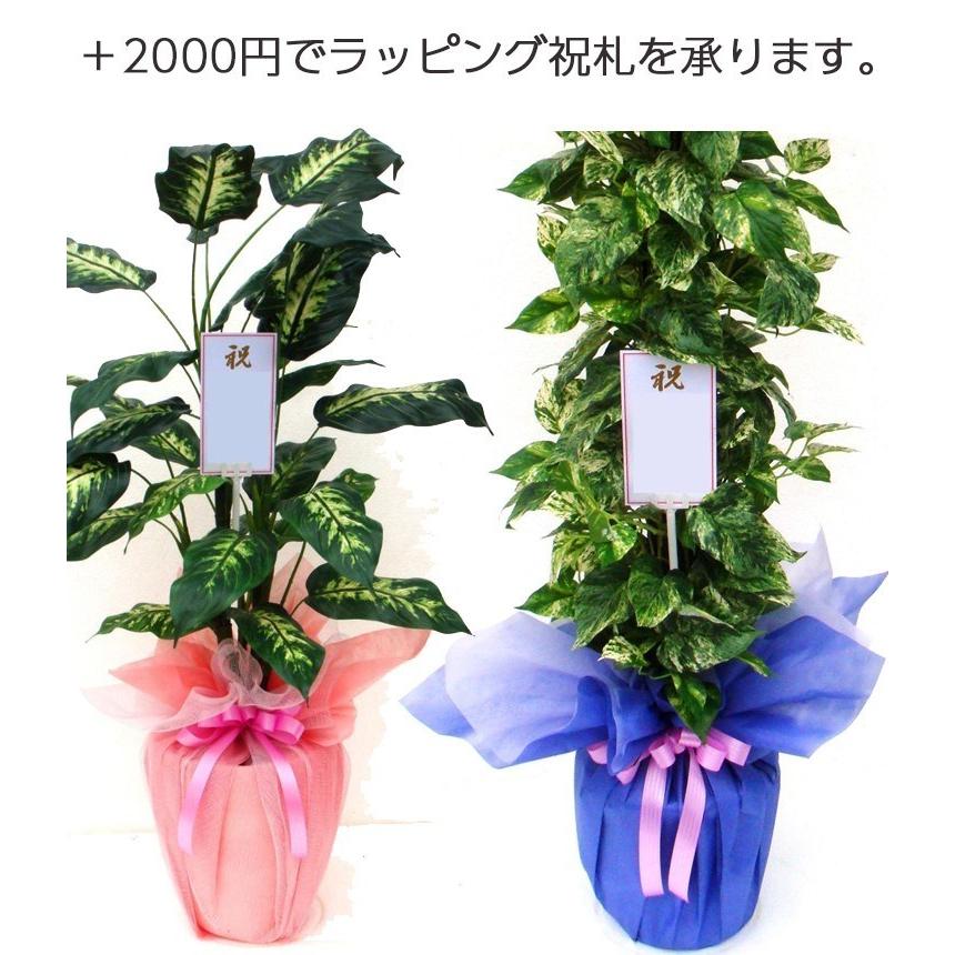 人工観葉植物 ユッカ 100（器:SA-8(WH)）91618｜フェイクグリーン