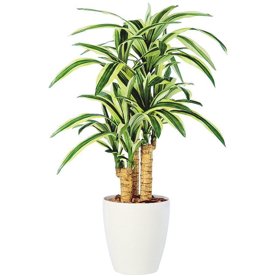 人工観葉植物 ドラセナビクトリートリプル 100（器:RP-265）98679