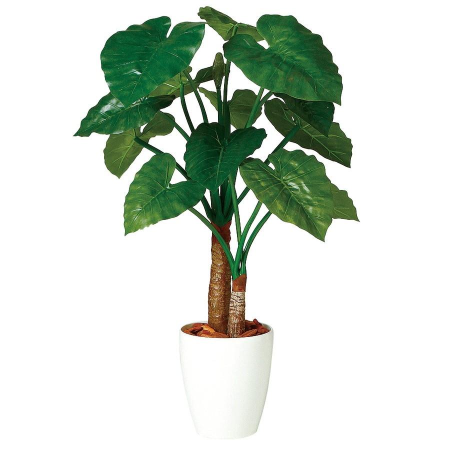 正規品 人工観葉植物 クワズイモ ダブル 100 器 Rp 225 965 フェイクグリーン イミテーション インテリア オフィス 店舗 造花 18ds 注目ブランド Www Maxipiso Com Ar