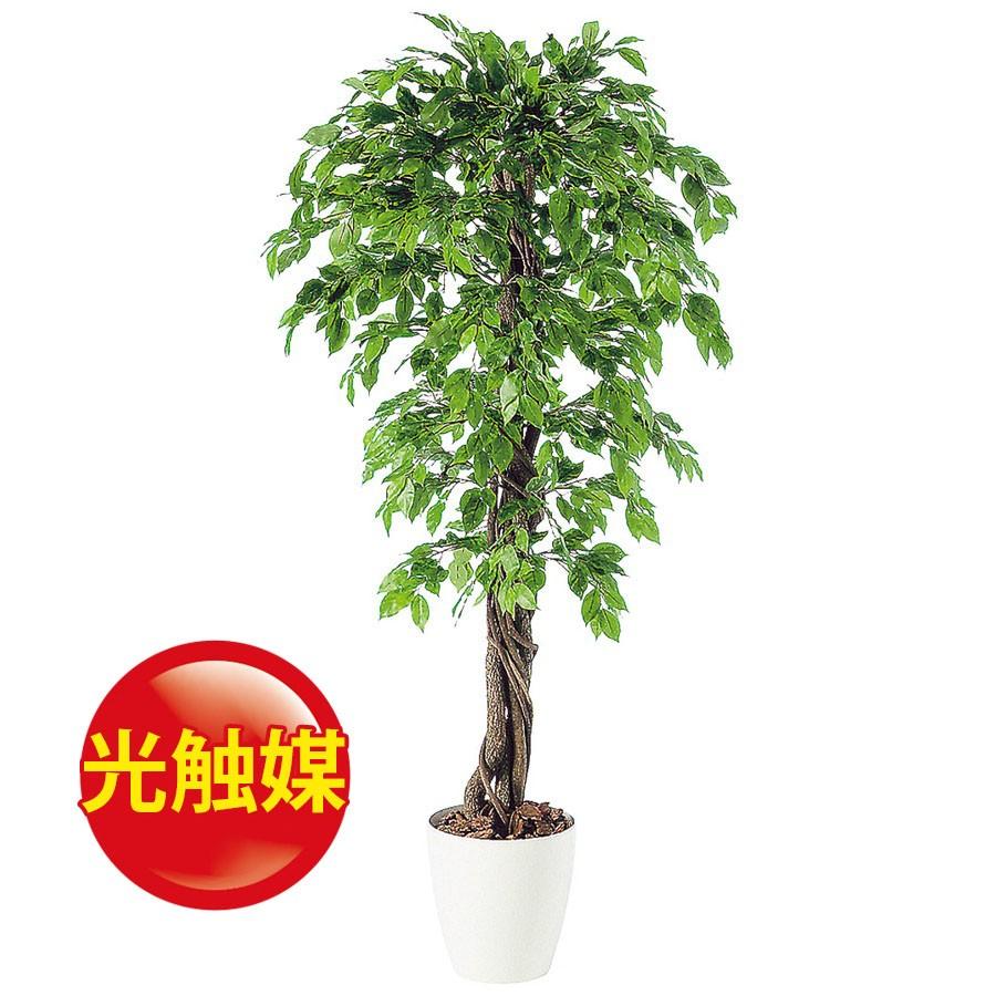 アウトレット送料無料 人工観葉植物 光触媒 ベンジャミナスプラッシュリアナ 180 器 Rp 300 フェイクグリーン イミテーション インテリア 開店祝 オフィス 18ds o ランドセル フロロ 通販 Yahoo ショッピング 開店祝い Web Escgroup Com