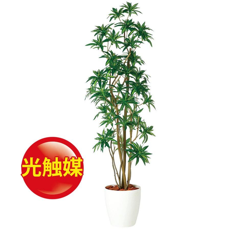 人工観葉植物 光触媒 ソング オブ ジャマイカ Fst150 器 Rp 265 909 フェイクグリーン イミテーション インテリア 開店祝 オフィス 18ds o ランドセル リュック フロロ 通販 Yahoo ショッピング