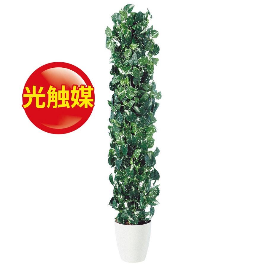 人工観葉植物 光触媒 ポトス ヘゴ 180 器 Rp 265 98535 Www