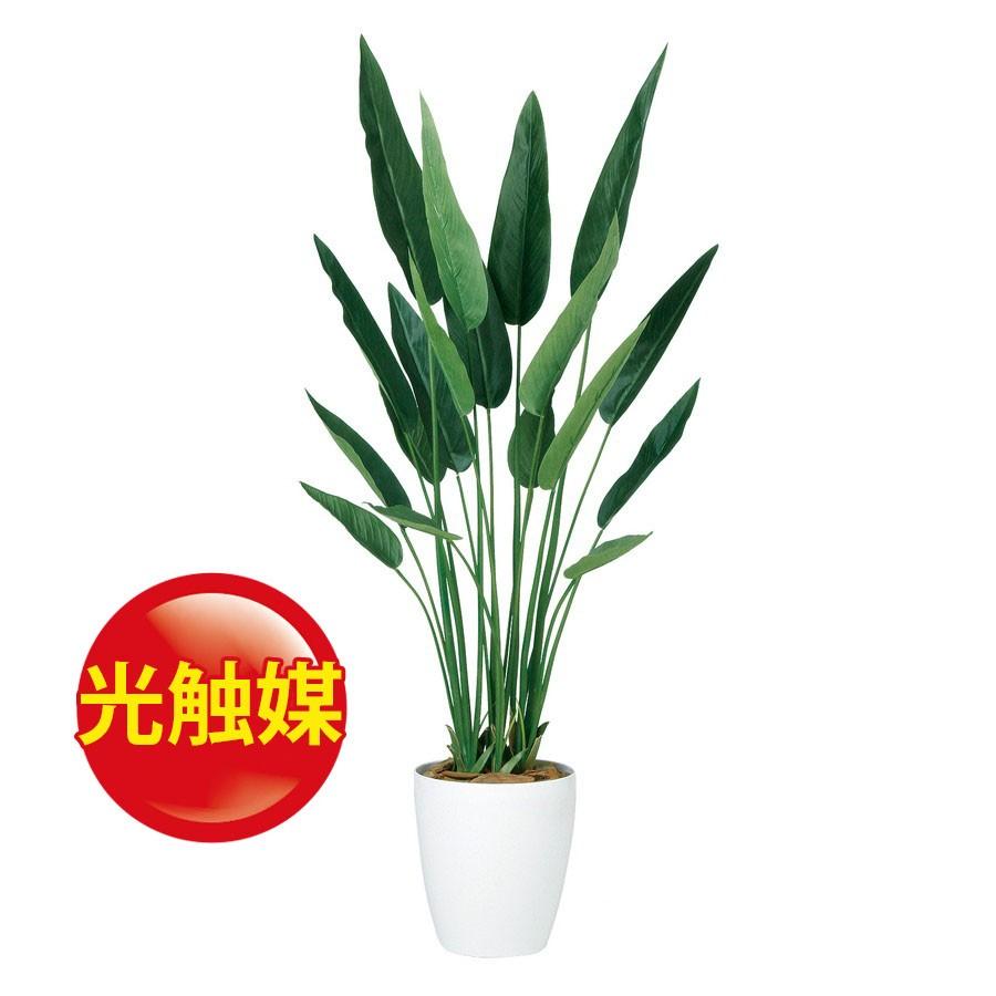 正規激安 人工観葉植物 光触媒 ストレリチア レギネ 140 器 Rp 265 フェイクグリーン イミテーション インテリア オフィス 店舗 造花 18ds o ランドセル フロロ 通販 Yahoo ショッピング 送料込 Web Escgroup Com