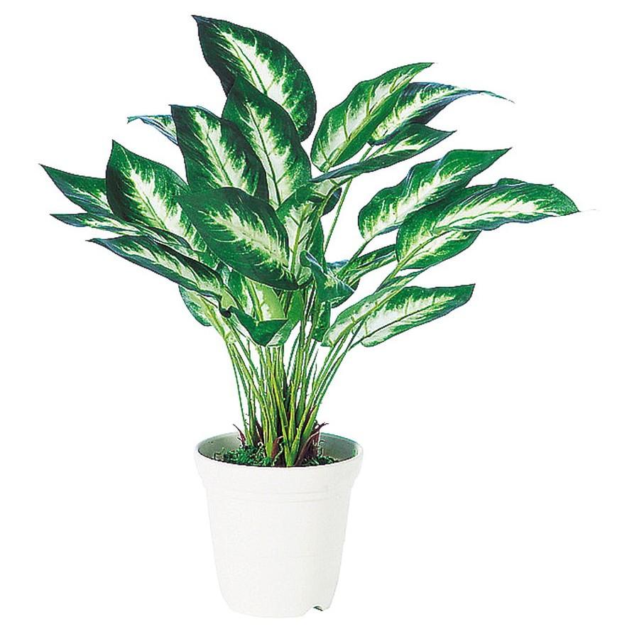 人工観葉植物 ディフェンバキア カミーラs 器 Cv 04 フェイクグリーン イミテーション インテリア オフィス 店舗 造花 カジュアル 18ds o ランドセル ラッピング のフロロ 通販 Yahoo ショッピング