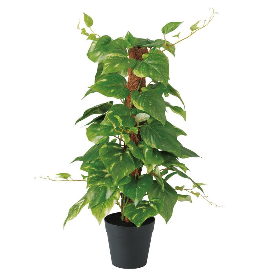1745円 お買い得 人工観葉植物 ポトスヘゴポット 器 簡易ポット フェイクグリーン イミテーション インテリア オフィス 店舗 造花 カジュアル 18ds