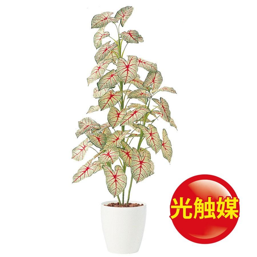 人工観葉植物 光触媒 カラジウム トロピカーナ 160 器 Rp 265 Khabarbani Com