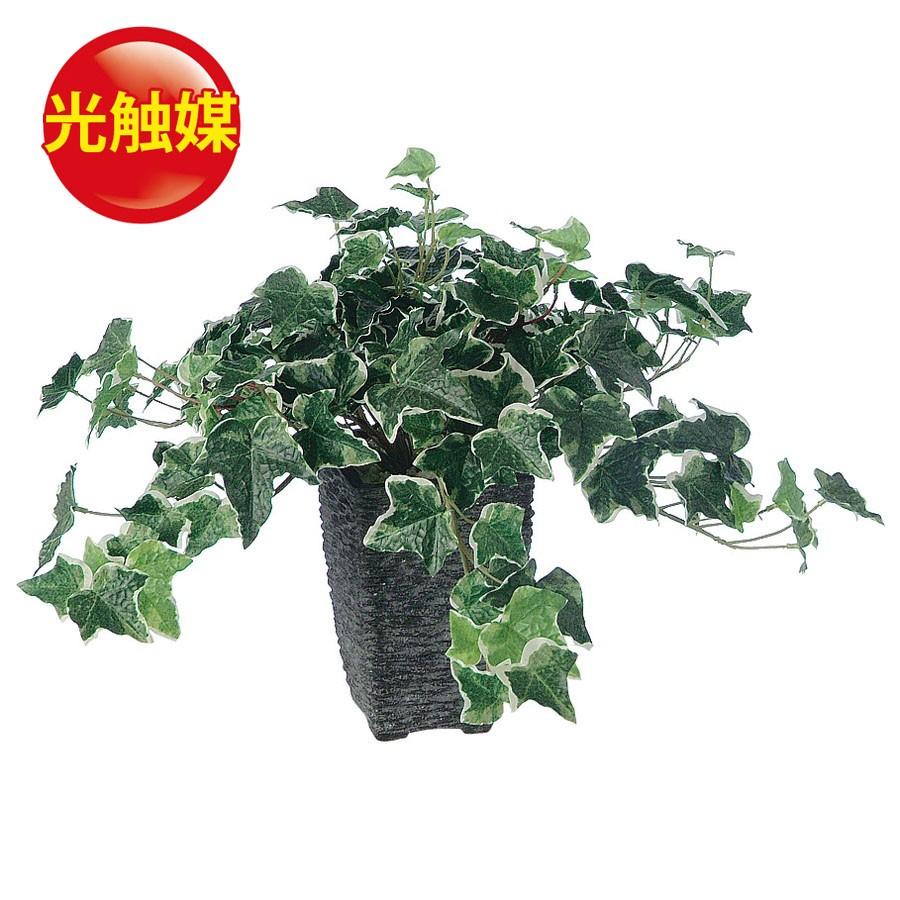 光触媒観葉植物 ベンジャミン1.8 〔フロアタイプ〕 インテリア