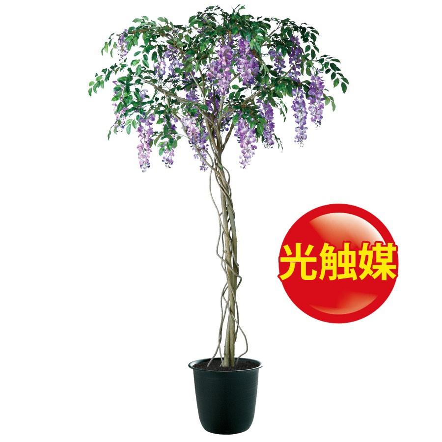 人工観葉植物 光触媒 藤 0 器 ツリー8 Bk Purrworld Com