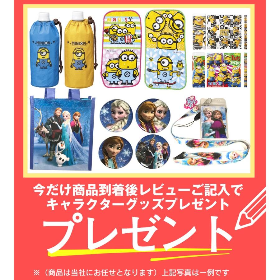 ディズニー シンデレラ 白雪姫 アナと雪の女王 ラプンツェル プラスチック筆箱 ランドセル ラッピング お店 フロロ Fudebako ランドセル フロロ 通販 Yahoo ショッピング