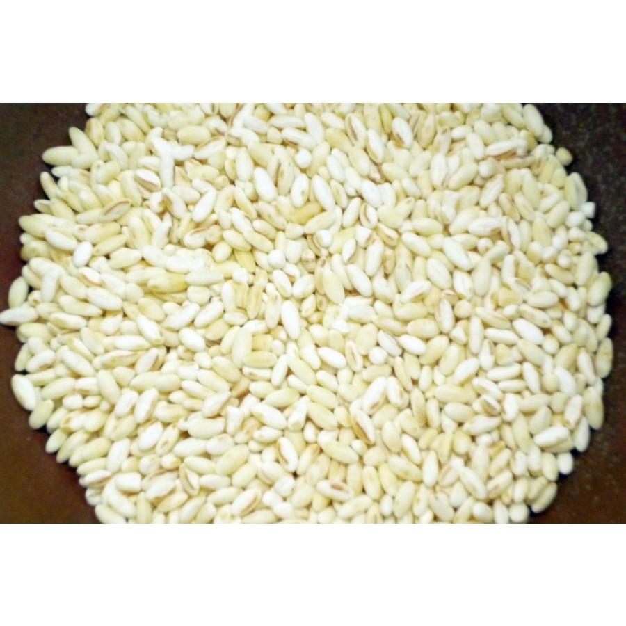 もち麦 米粒麦 630ｇ 国内産 創健社 Sm03 Flourhiro 通販 Yahoo ショッピング