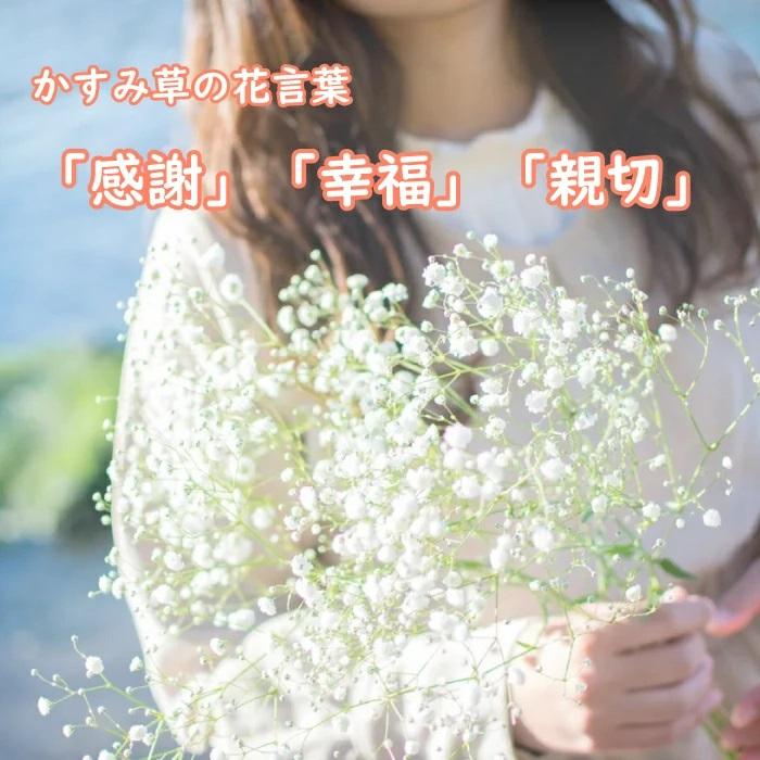 カスミソウ かすみ草 花束 ブーケ レインボー 色染め 寒色系 カラフル