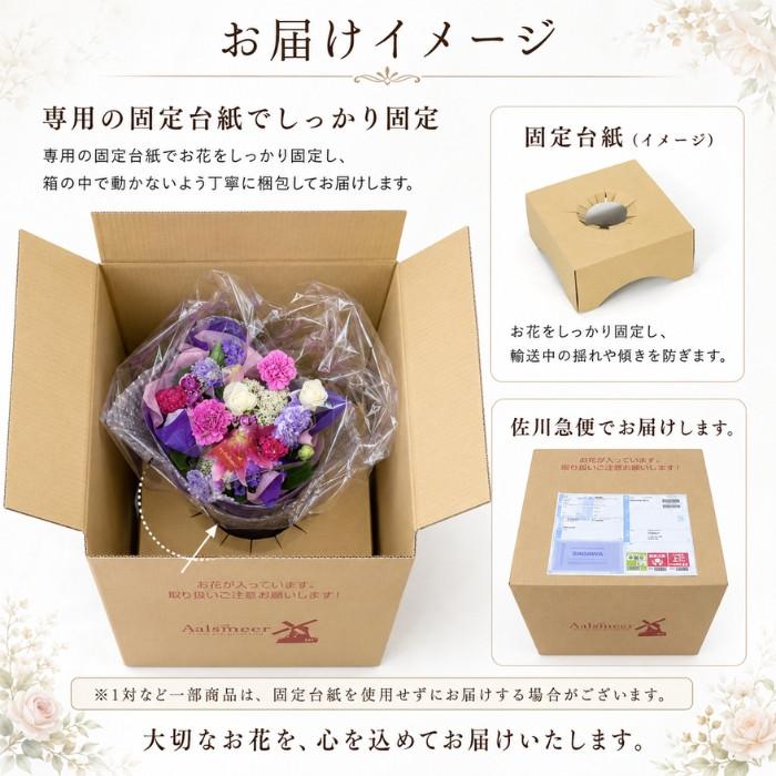 あじさい 紫陽花 アジサイ 5号 5寸 5号鉢 選べる種類 おまかせ 鉢植え