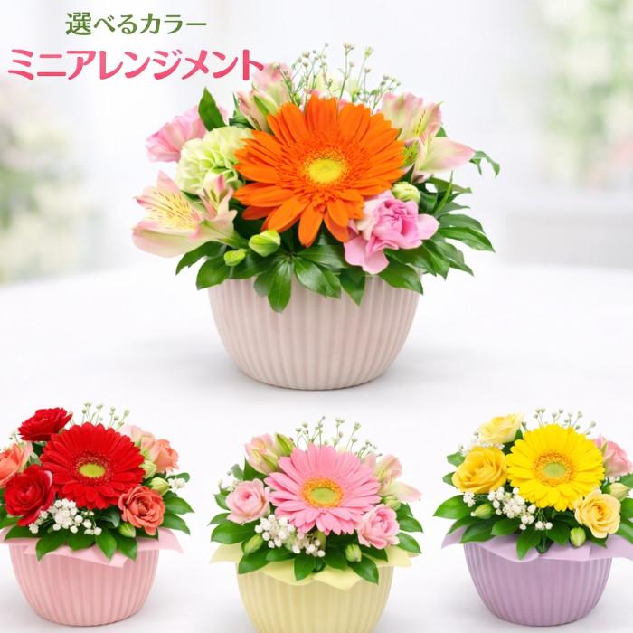 1000円 ギフト 花 プチアレンジメント プチギフト ミニ かわいい