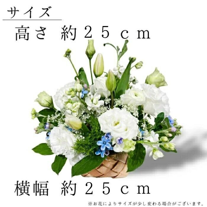 お盆のお花に！】スターチス3種類 合計130本 約40cm～50cm お盆のお花