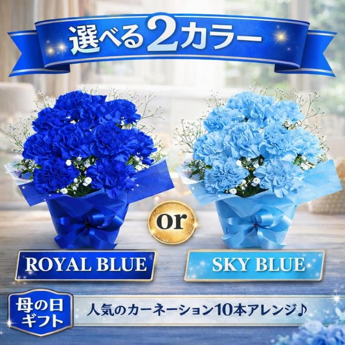 母の日 プレゼント カーネーション 10本 アレンジメント ブルー 清楚