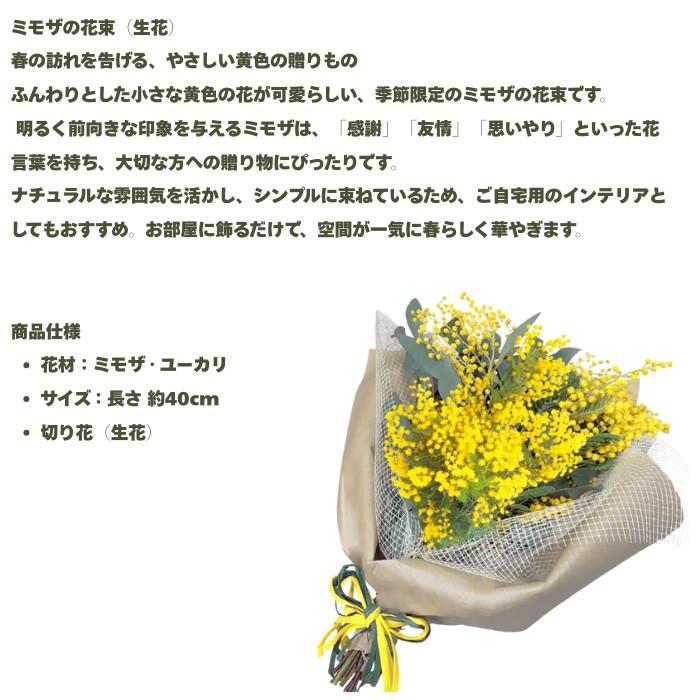 ミモザ 生花 花束 ドライフラワーになる 春の花 ブーケ 誕生日 ギフト
