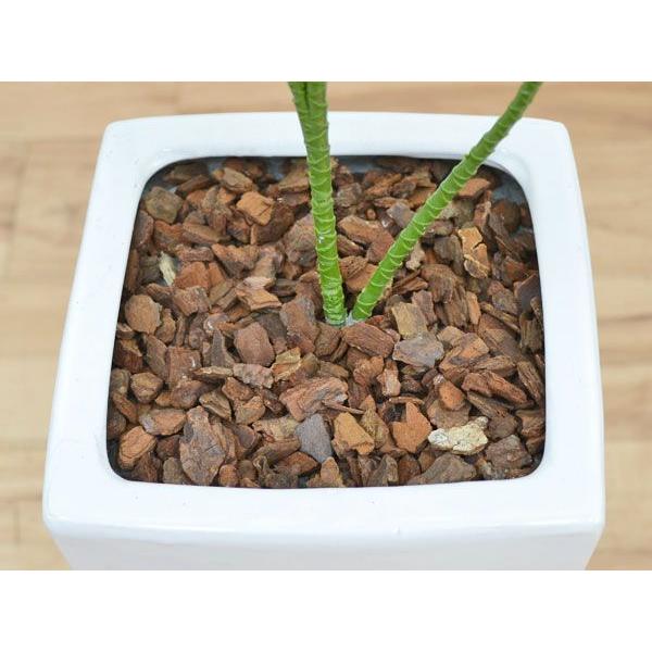 人工観葉植物 ドラセナ ソングオブジャマイカ おしゃれ 造花 お祝い 光触媒加工 Afkan フラワーコーポレーション 通販 Yahoo ショッピング
