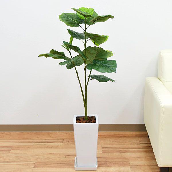 最安値挑戦 人工観葉植物 フィカス ウンベラータ おしゃれ 造花 お祝い 光触媒加工 50 Off Zoetalentsolutions Com
