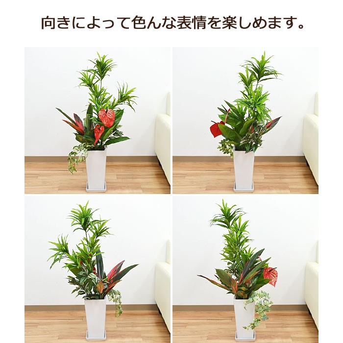 人工観葉植物 寄せ植え(ドラセナ・ソングオブジャマイカ) 陶器鉢