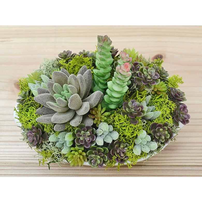 人工観葉植物 多肉植物寄せ植え 造花 フェイクグリーン 陶器 おしゃれ お祝い :afkan-000050:フラワーコーポレーション - 通販 - Yahoo!ショッピング 人工観葉植物 多肉植物寄せ植え 造花 フェイクグリーン 陶器 おしゃれ お祝い :afkan-000050:フラワーコーポレーション - 通販 - Yahoo!ショッピング