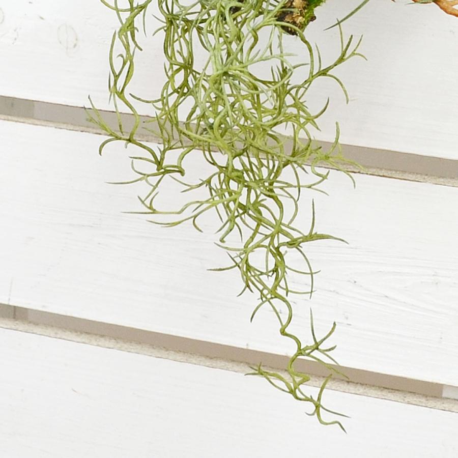 人工観葉植物 エアープランツ チランジア 造花 フェイクグリーン