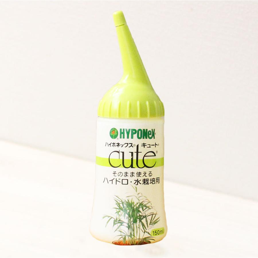 観葉植物用活力剤(活力液) ハイポネックス キュート ハイドロカルチャー 水栽培用 HYPONeX cute｜flower-c