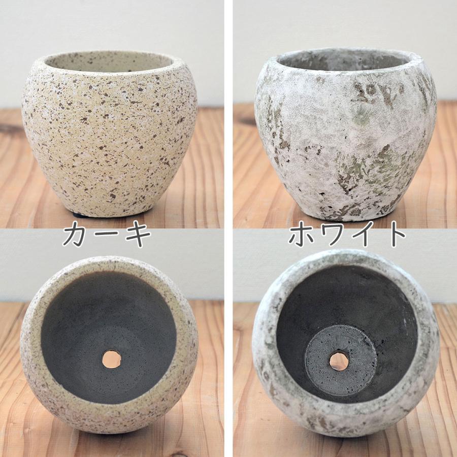 サボテン カクタス 陶器鉢 マット アンティーク おしゃれ お祝い