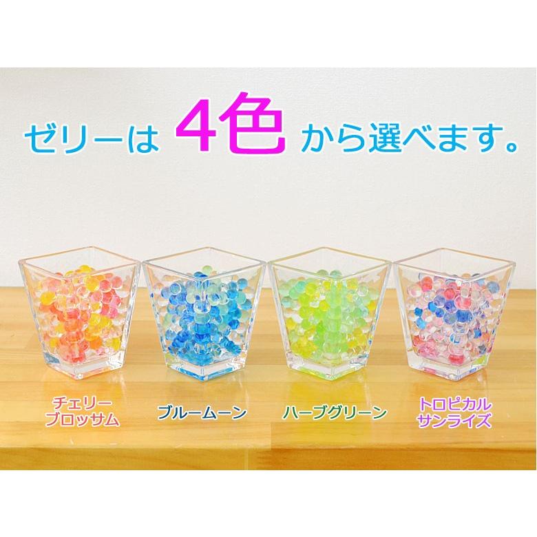 ミニ観葉植物 ドラセナ サンデリアーナ スクエアガラスゼリー植え Sskan フラワーコーポレーション 通販 Yahoo ショッピング