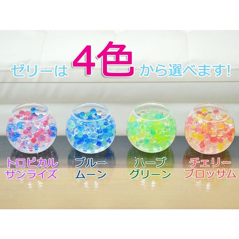 国内発送 ミニ観葉植物 パキラ スフィアガラス ゼリー植え Foodsecurity Me