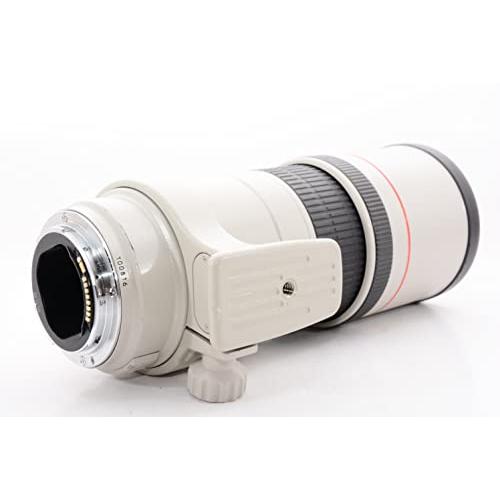 FlowerGardenCanon 単焦点望遠レンズ EF300mm F4L IS USM フルサイズ