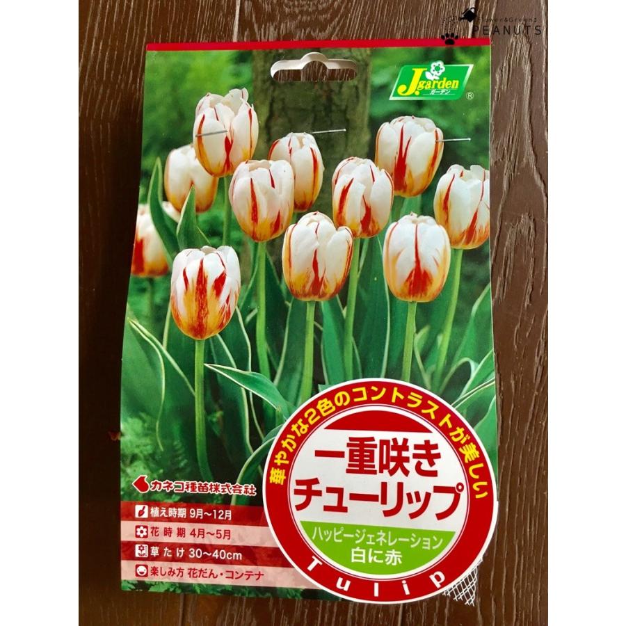 球根 一重咲きチューリップ ハッピージェネレーション 6球入 Ky Flower Green Peanuts 通販 Yahoo ショッピング