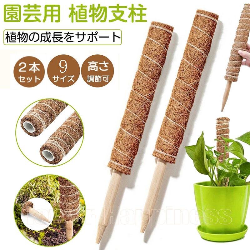 2点セット モンステラ 支柱 ココナッツ支柱 園芸 支柱 観葉 植物 支柱 植物支柱 ココナッツパームスティック 棚 土 天然 ココナッツ 給水 フラワースタンド Flower D197 Flower Happiness 通販 Yahoo ショッピング