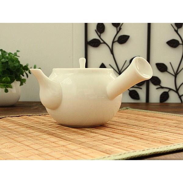 オレンジライン急須 (和食器 ポット 急須 アウトレット お茶 茶器 日本