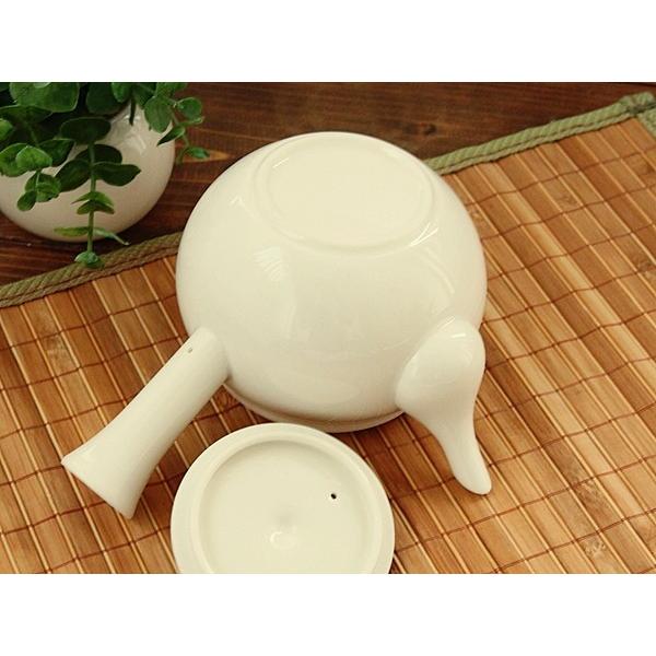 オレンジライン急須 (和食器 ポット 急須 アウトレット お茶 茶器 日本