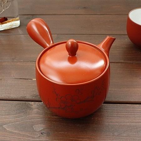 常滑焼 朱泥急須 梅 ※ステンレス製茶漉し付き (和食器 ポット 常滑焼 朱泥急須 梅 ※ステンレス製茶漉し付き (和食器 ポット