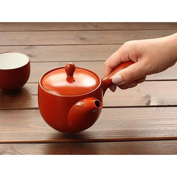 常滑焼 朱泥急須 梅 ※ステンレス製茶漉し付き (和食器 ポット 常滑焼 朱泥急須 梅 ※ステンレス製茶漉し付き (和食器 ポット