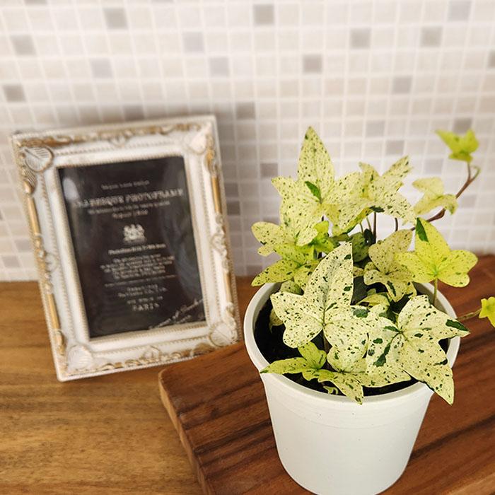 きなこセリテラボディ白セリテラLL24320円 Shop Zara DISTRESSED THICK-SOLED SNEAKERS at Beverly Center