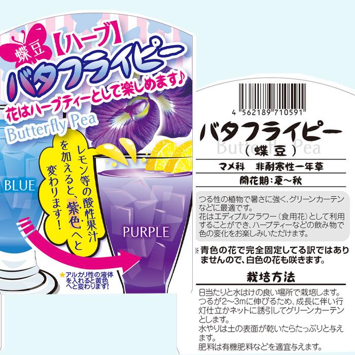 日本花キ流通 バタフライピー （蝶豆） チョウマメ クリトリア 一重