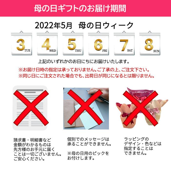 母の日 ガクアジサイ コンペイトウブルー 5号鉢 送料無料 母の日ギフト 贈り物 あじさい 紫陽花 プレゼント 花 鉢植え フラワーネット日本花キ流通 通販 Yahoo ショッピング