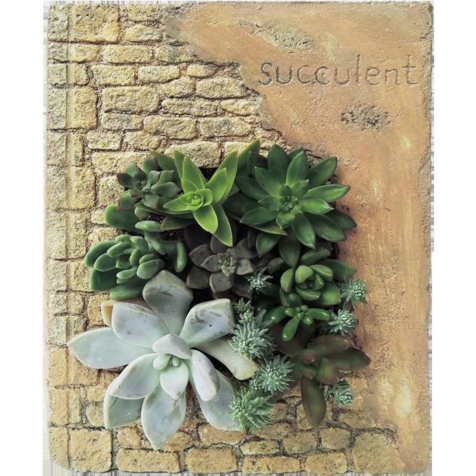 資 ハンギングタブローdesignersピースブック 多肉植物 Pof 003b フラワーネット日本花キ流通 通販 Yahoo ショッピング