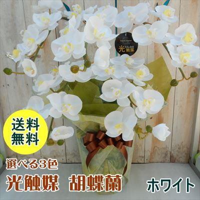 SALE／90%OFF】 光触媒 胡蝶蘭 造花 消臭 抗菌 ラッピング無料 送料